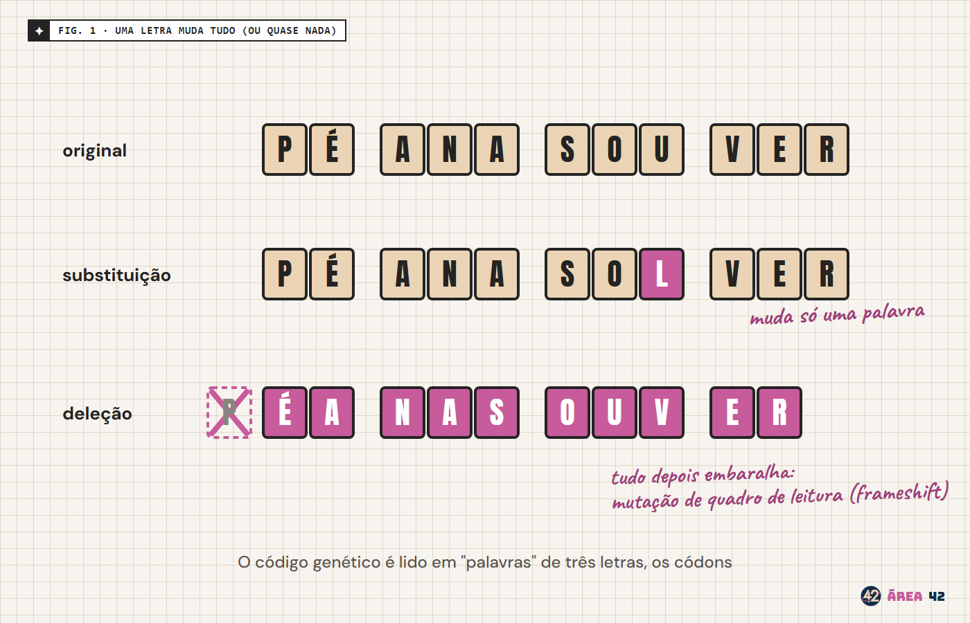 Três linhas de letras: o original PÉ ANA SOU VER; uma substituição que troca uma letra e gera PÉ ANA SOL VER; e uma deleção da primeira letra, que desloca tudo e gera ÉA NAS OUV ER.