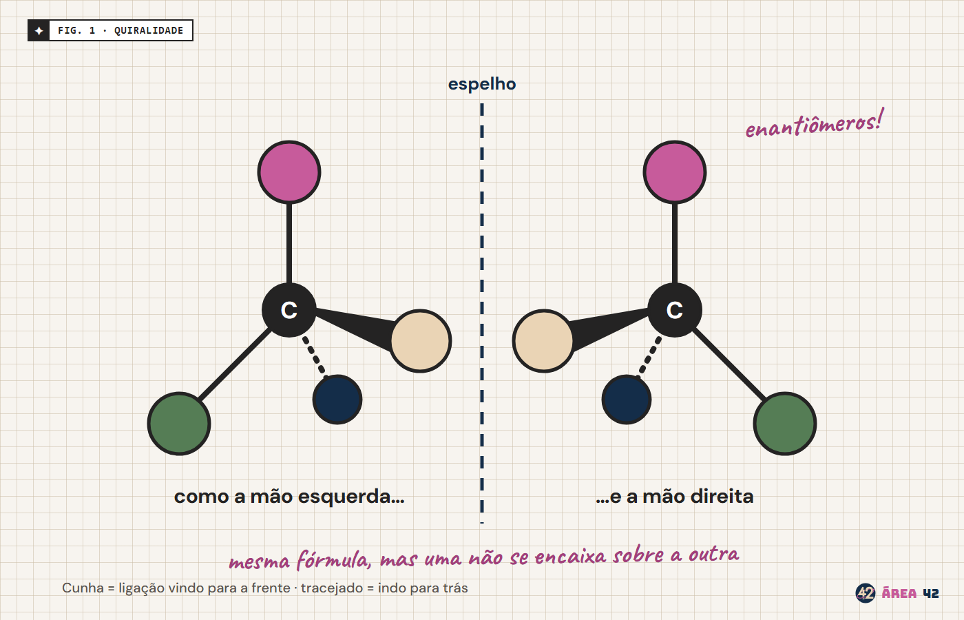 Duas moléculas quirais desenhadas como imagens no espelho: um carbono central com quatro grupos diferentes, arranjados de forma invertida de cada lado de uma linha tracejada, comparadas à mão esquerda e à direita.